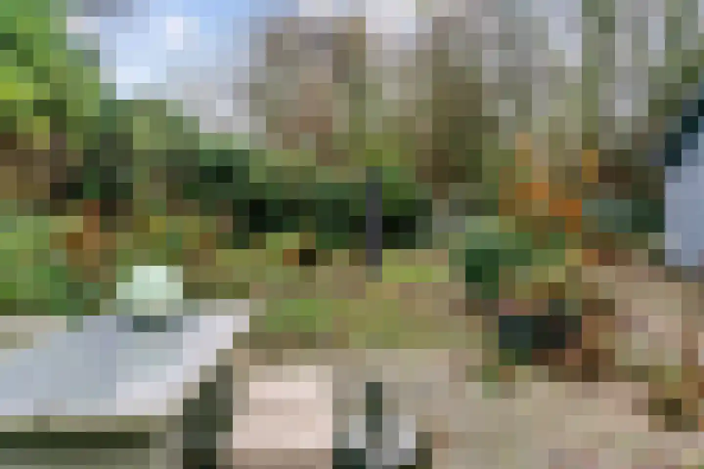 Legmeerdijk 277 Aalsmeer thumbnail 30
