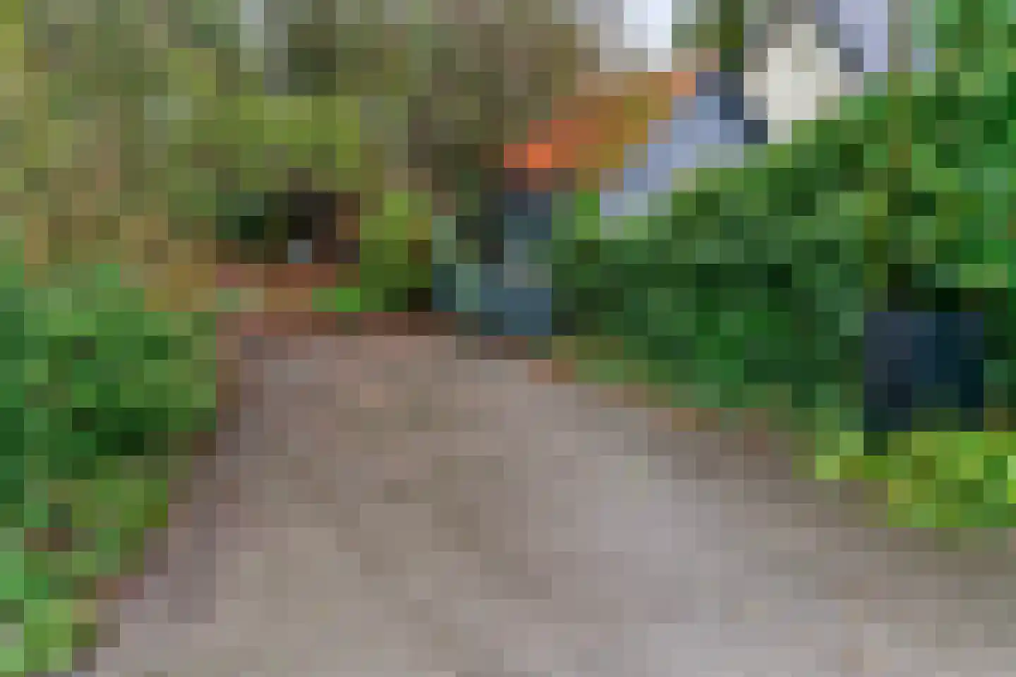 Legmeerdijk 277 Aalsmeer thumbnail 31