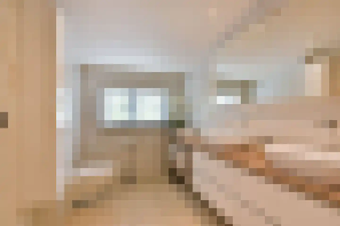Legmeerdijk 342 Aalsmeer thumbnail 18