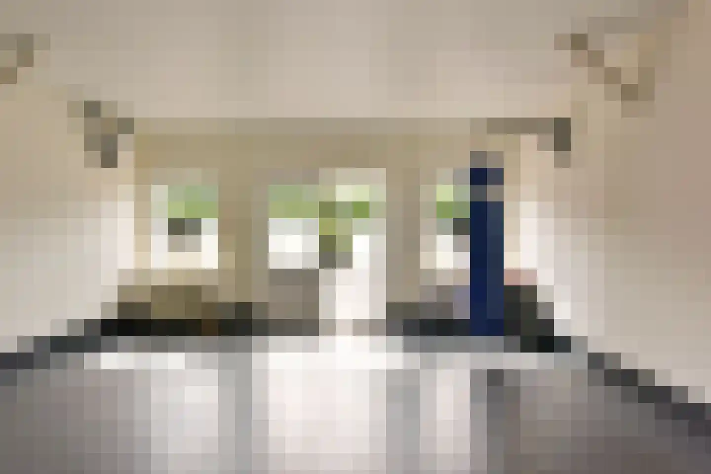 Legmeerdijk 342 Aalsmeer thumbnail 19