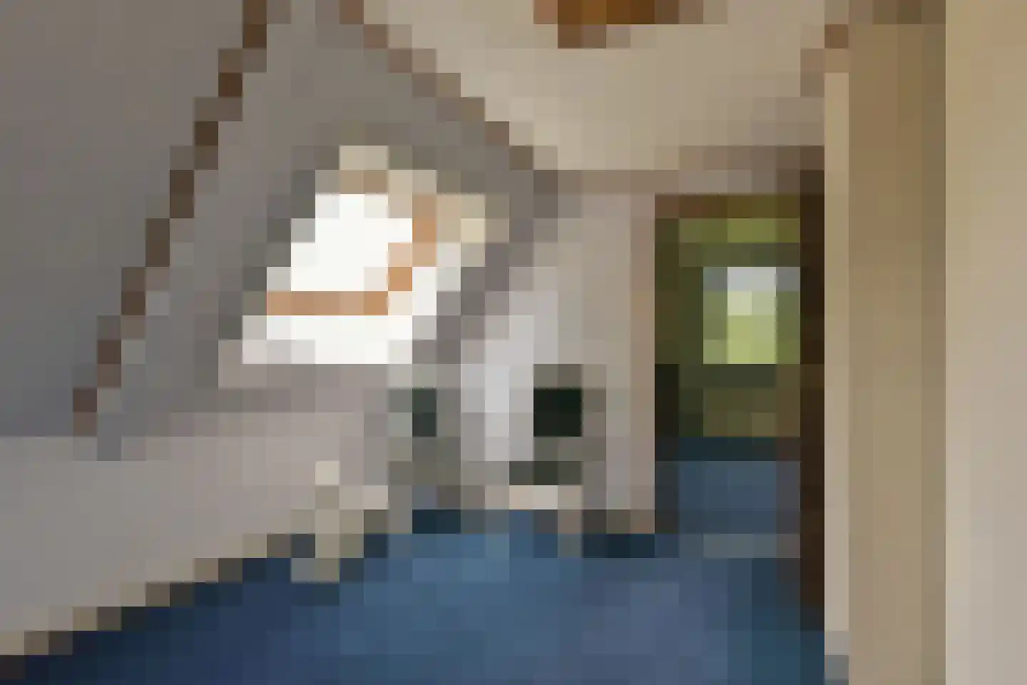 Legmeerdijk 342 Aalsmeer thumbnail 31