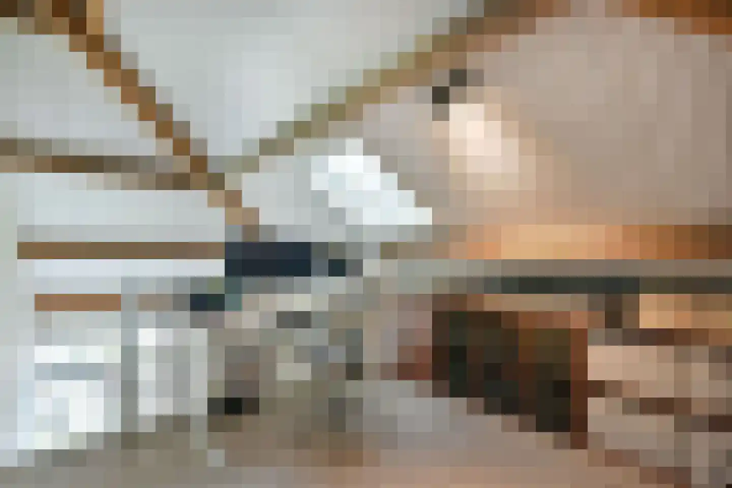 Legmeerdijk 342 Aalsmeer thumbnail 32