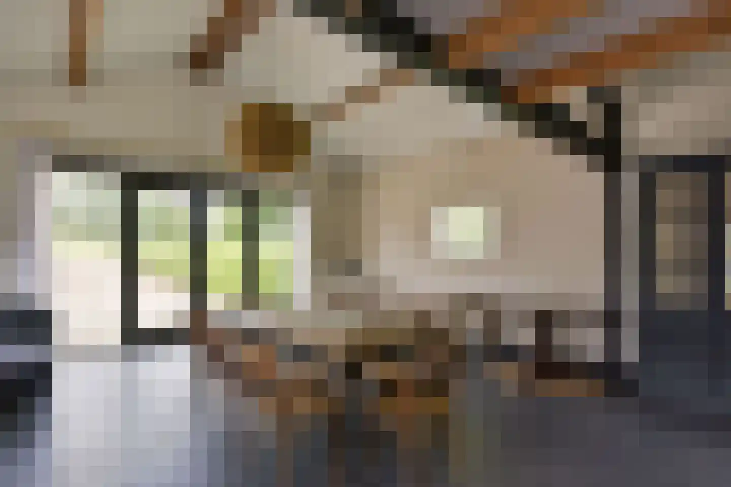 Legmeerdijk 342 Aalsmeer thumbnail 36