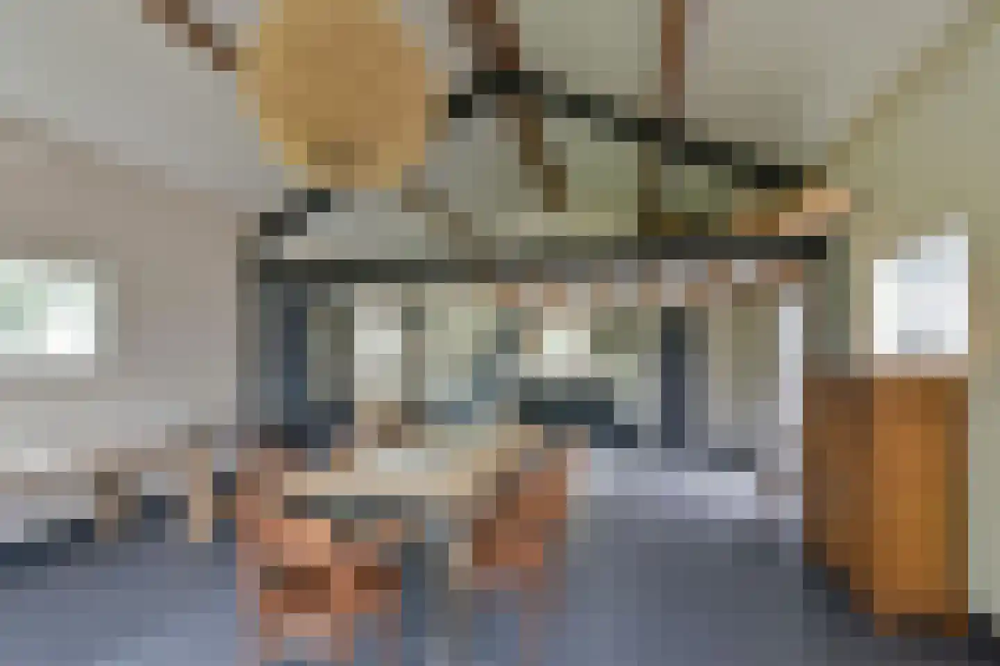 Legmeerdijk 342 Aalsmeer thumbnail 37