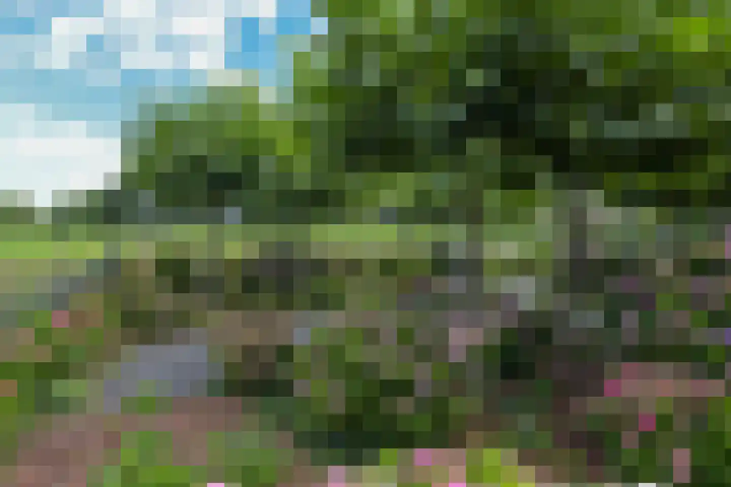 Legmeerdijk 342 Aalsmeer thumbnail 41