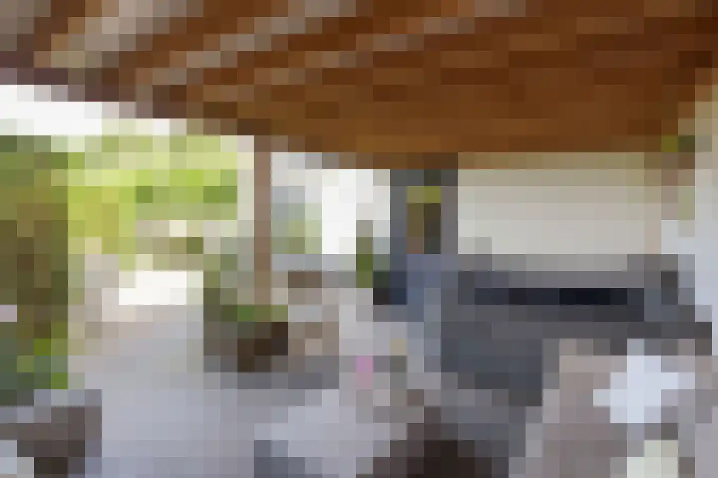 Legmeerdijk 342 Aalsmeer thumbnail 47