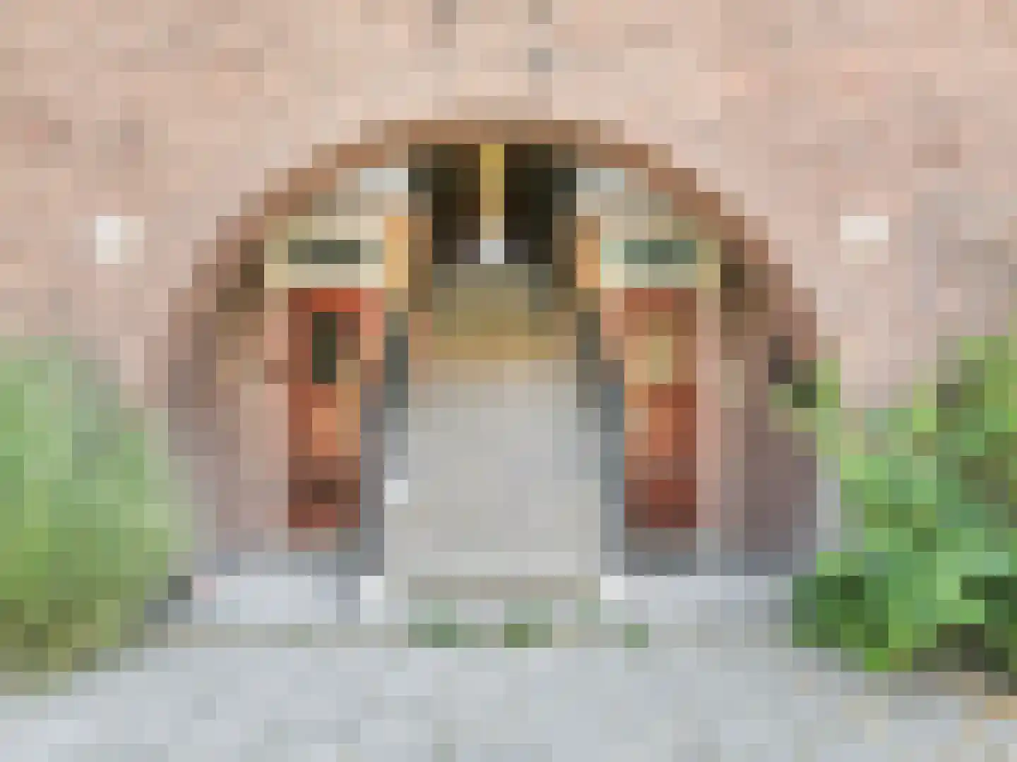 Legmeerplein 15 1 Amsterdam thumbnail 36