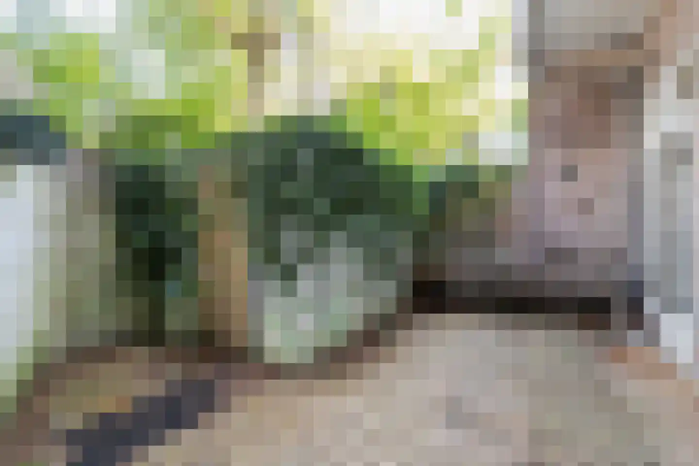 Legmeerplein 5 H Amsterdam thumbnail 4