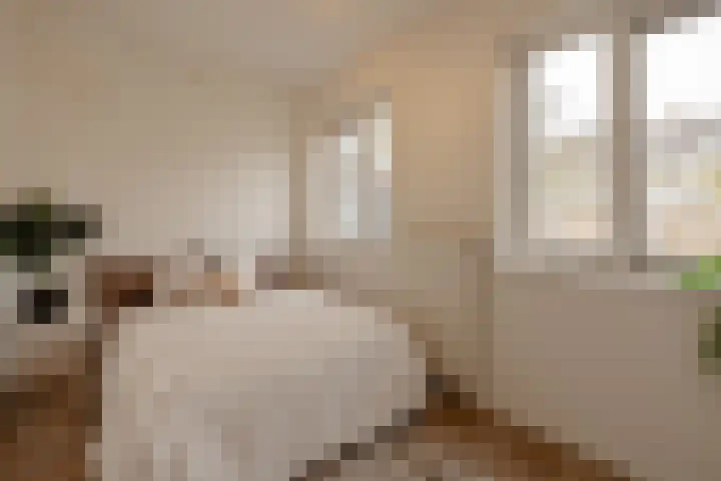 Legmeerstraat 32 1 Amsterdam thumbnail 11