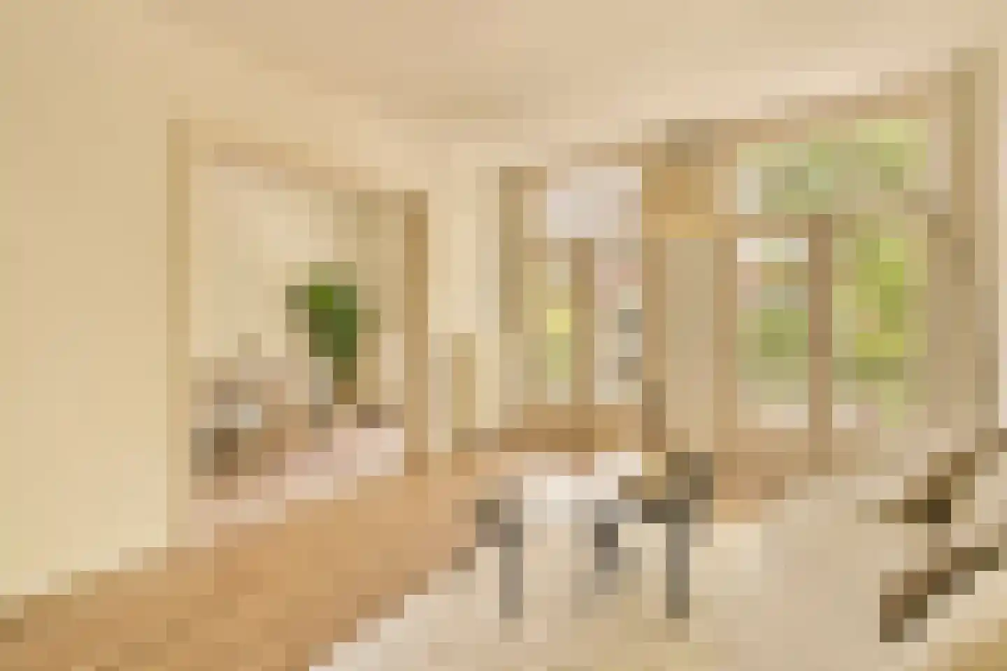 Legmeerstraat 32 3 Amsterdam thumbnail 4