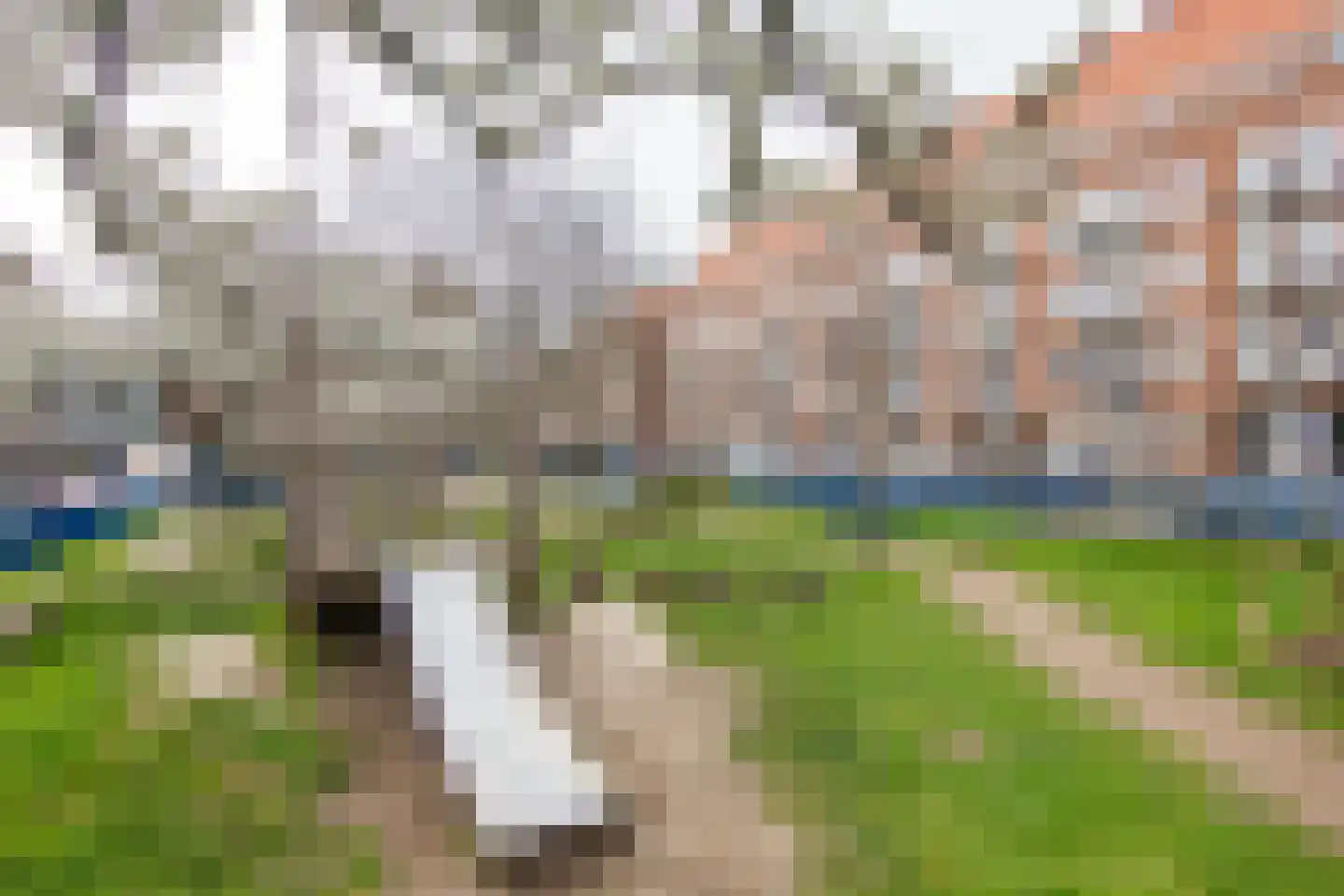Legmeerstraat 34 1 Amsterdam thumbnail 38