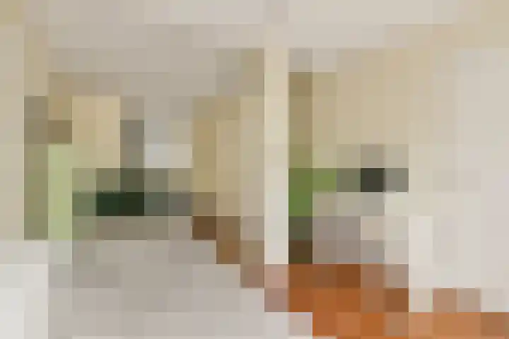 Legmeerstraat 51 1 Amsterdam thumbnail 7