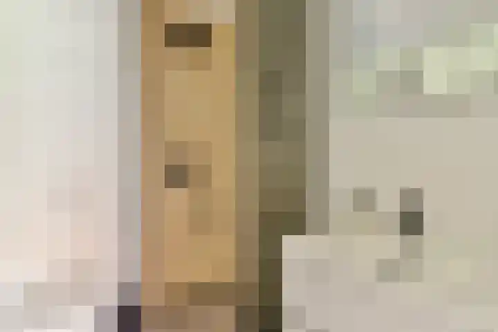 Legmeerstraat 70 2 Amsterdam thumbnail 9
