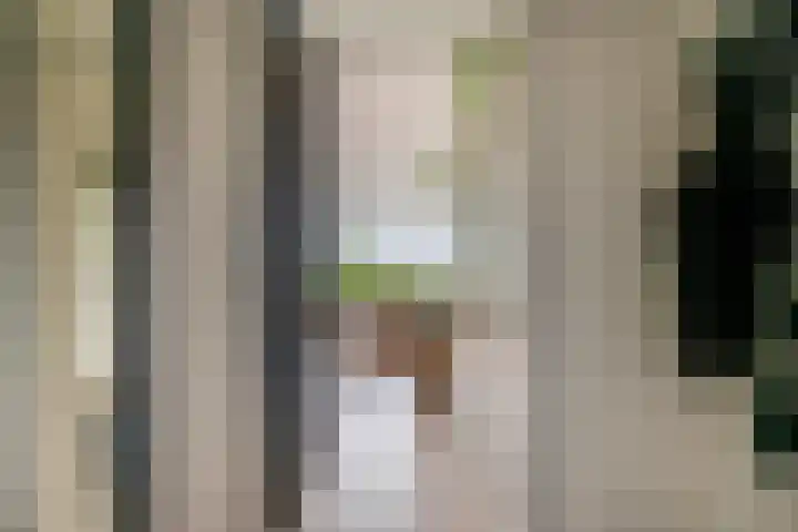 Legmeerstraat 94 Hoofddorp thumbnail 10