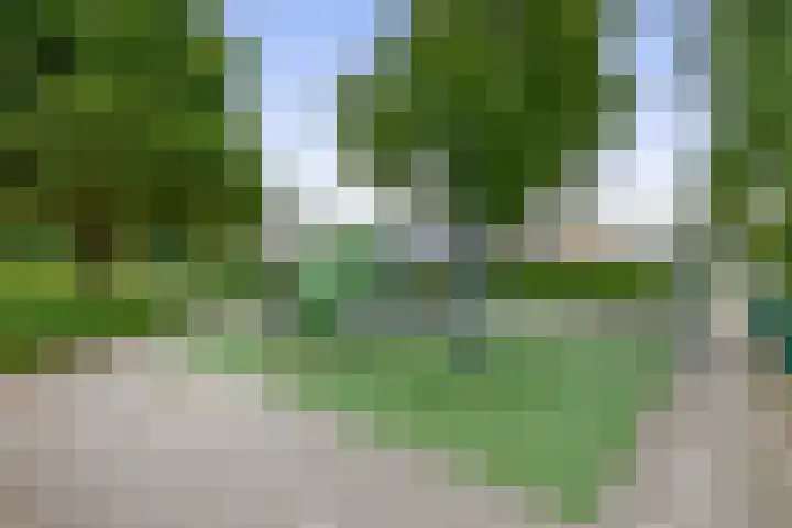 Legmeerstraat 94 Hoofddorp thumbnail 31