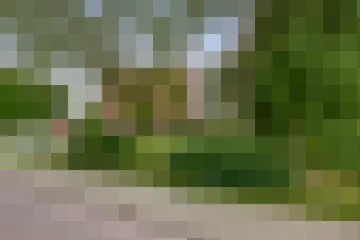 Legmeerstraat 94 Hoofddorp thumbnail 32