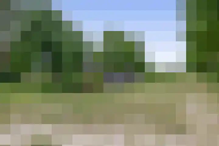 Legmeerstraat 94 Hoofddorp thumbnail 37