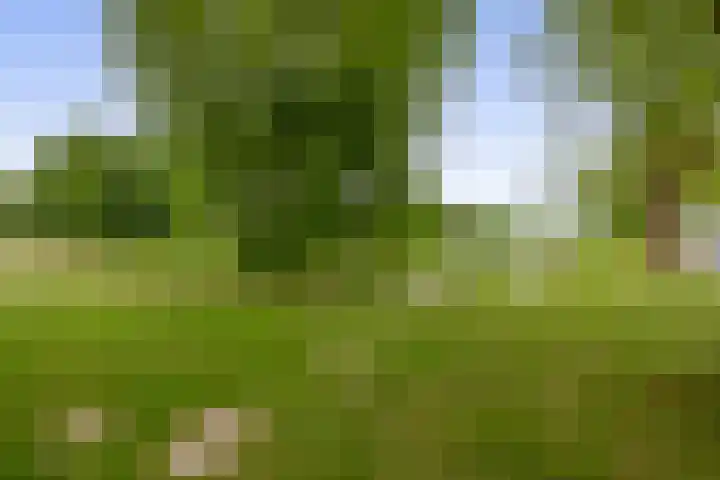 Legmeerstraat 94 Hoofddorp thumbnail 38