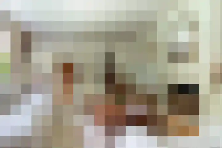 Legrasweg 3 Laren thumbnail 12