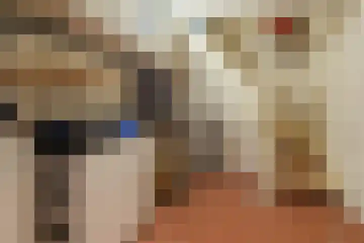 Legrasweg 3 Laren thumbnail 27