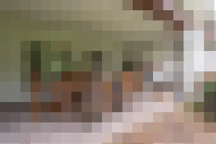 Legrasweg 3 Laren thumbnail 49