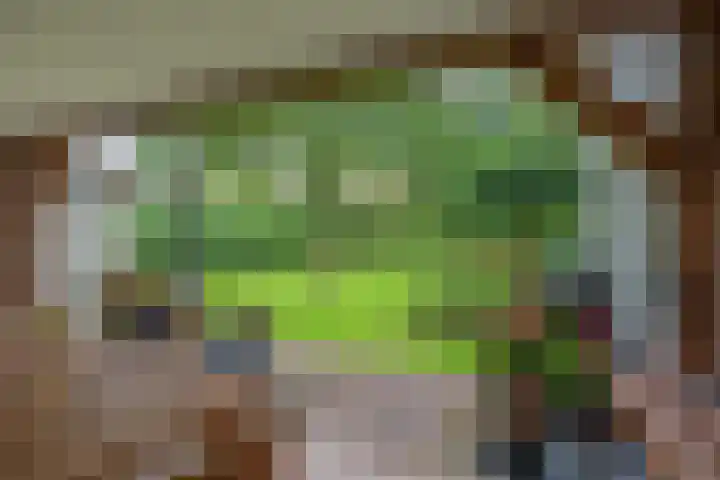 Legrasweg 3 Laren thumbnail 50