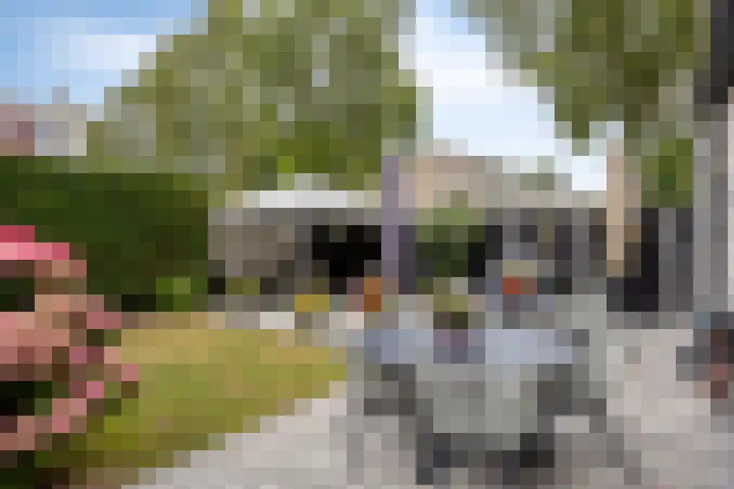 Leguaanstraat 2 Almere thumbnail 17