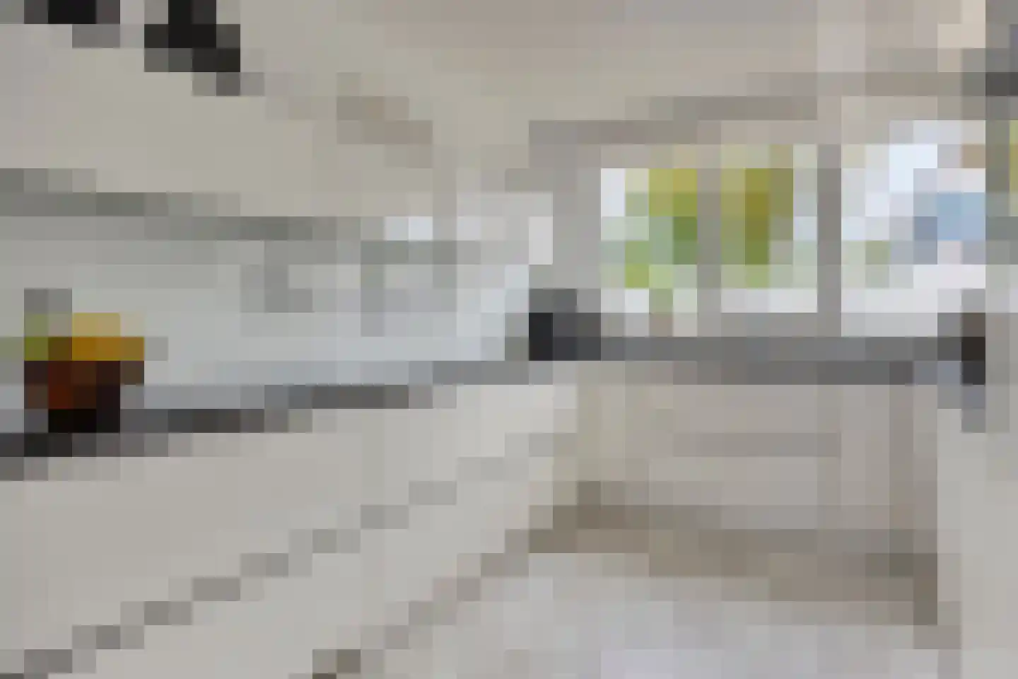 Leguaanstraat 2 Almere thumbnail 23