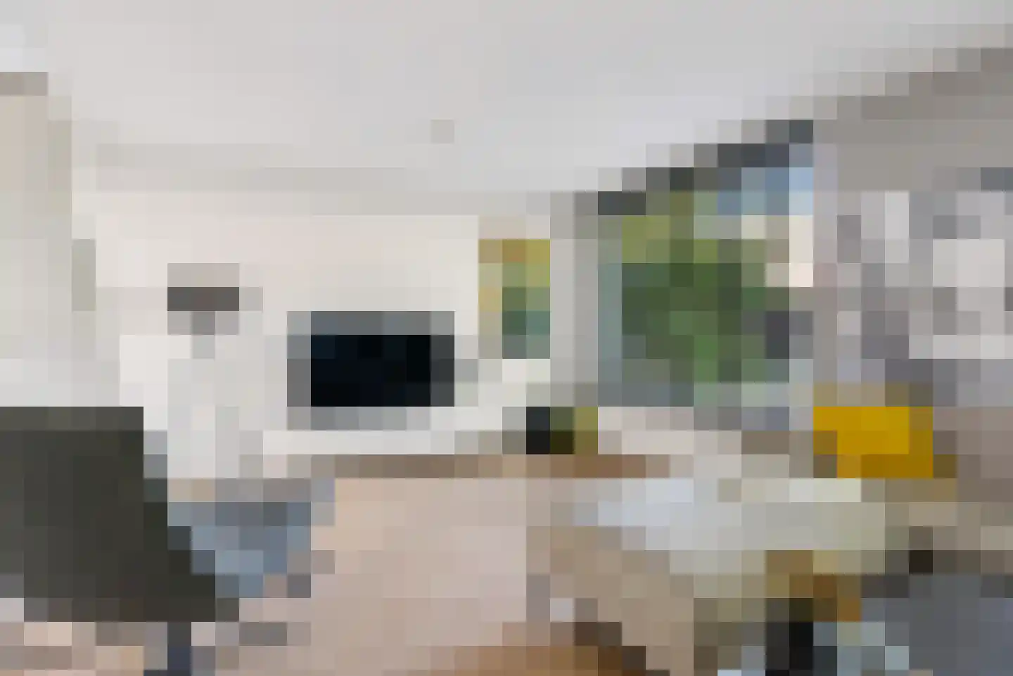 Leguaanstraat 6 Almere thumbnail 13
