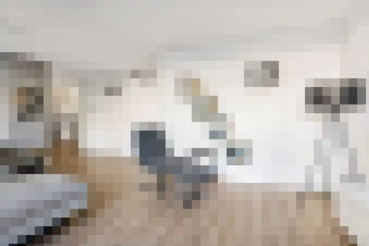Leguaanstraat 6 Almere thumbnail 17