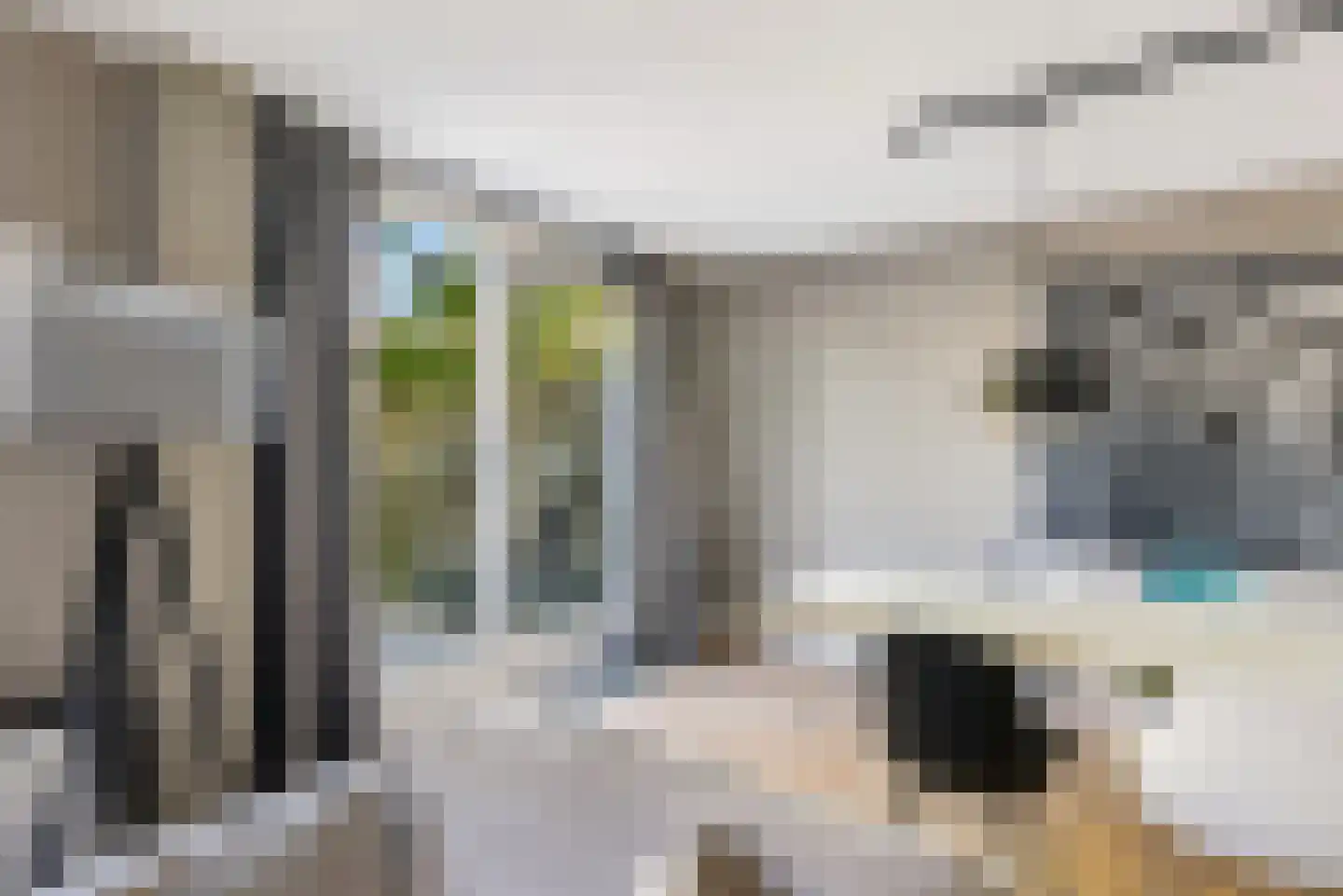 Leguaanstraat 6 Almere thumbnail 18