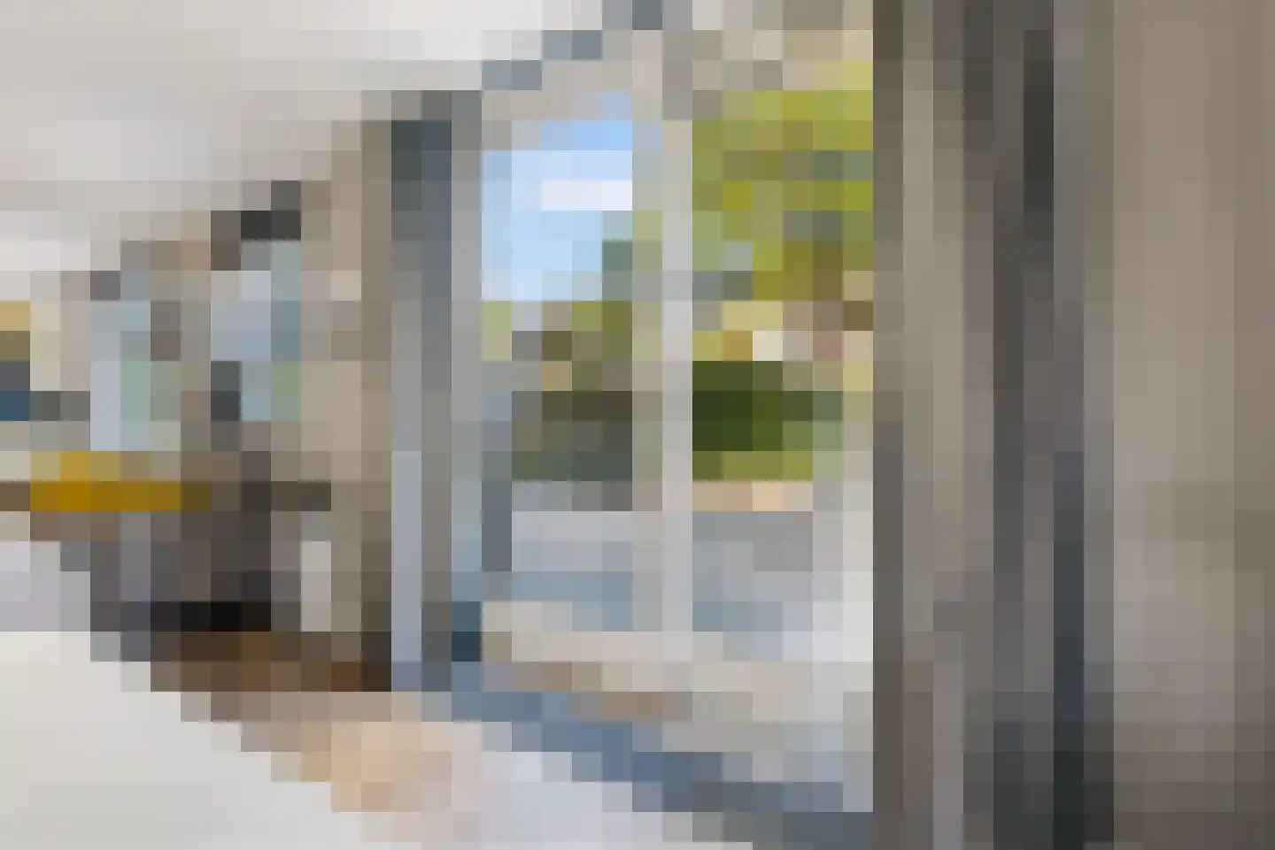 Leguaanstraat 6 Almere thumbnail 19