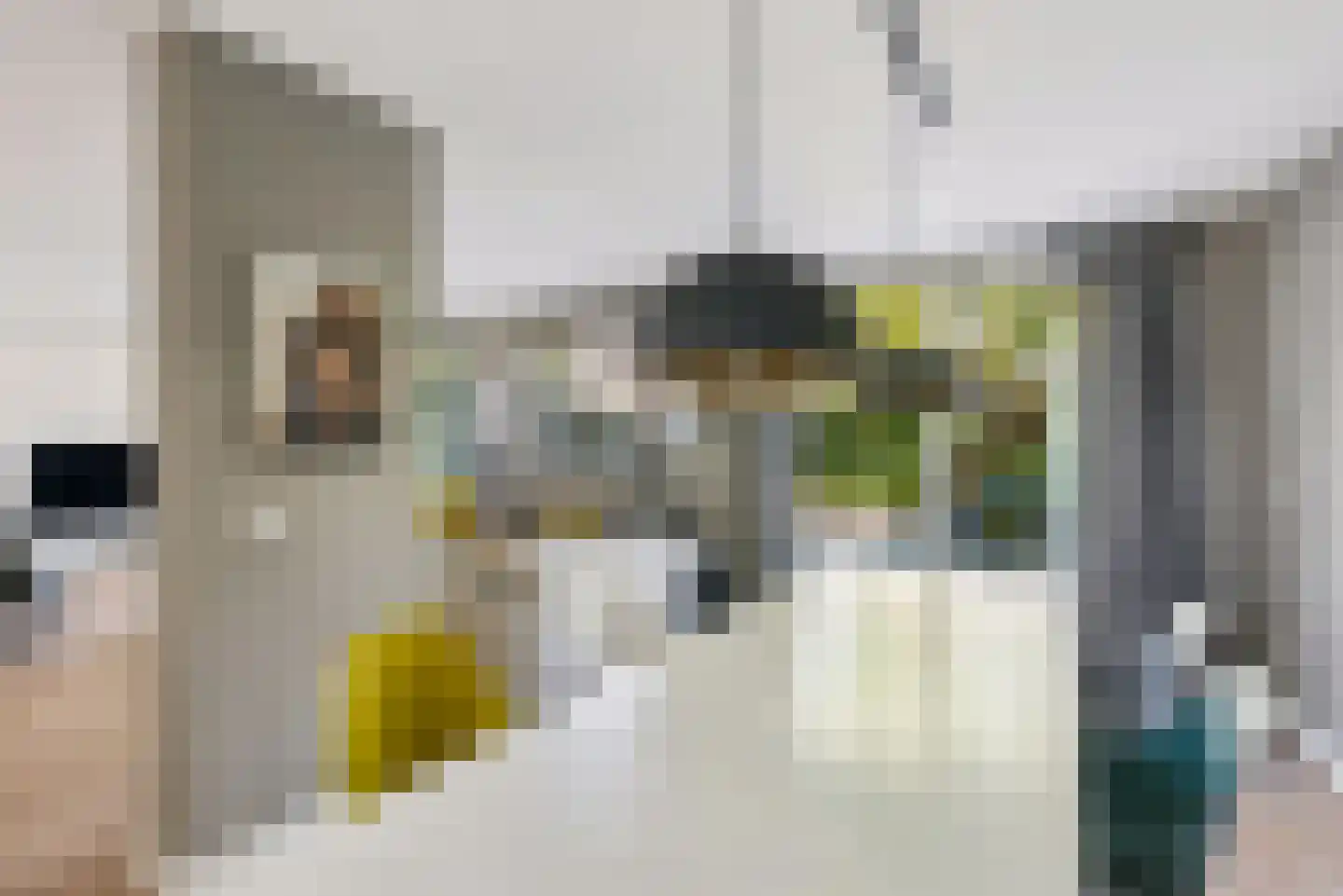 Leguaanstraat 6 Almere thumbnail 21