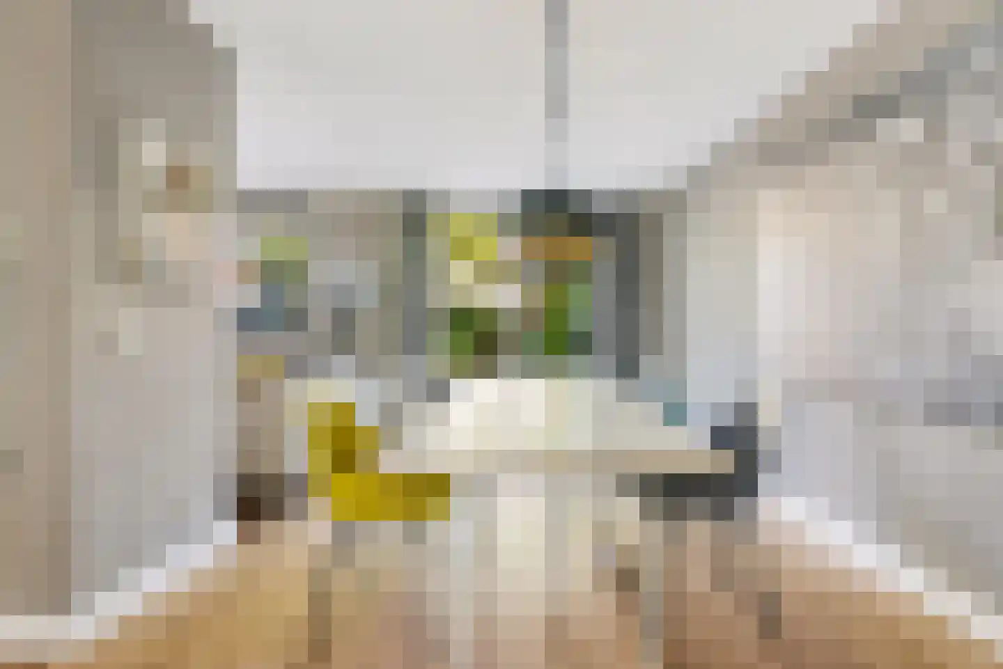 Leguaanstraat 6 Almere thumbnail 22