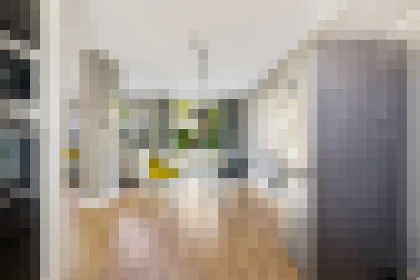 Leguaanstraat 6 Almere thumbnail 23