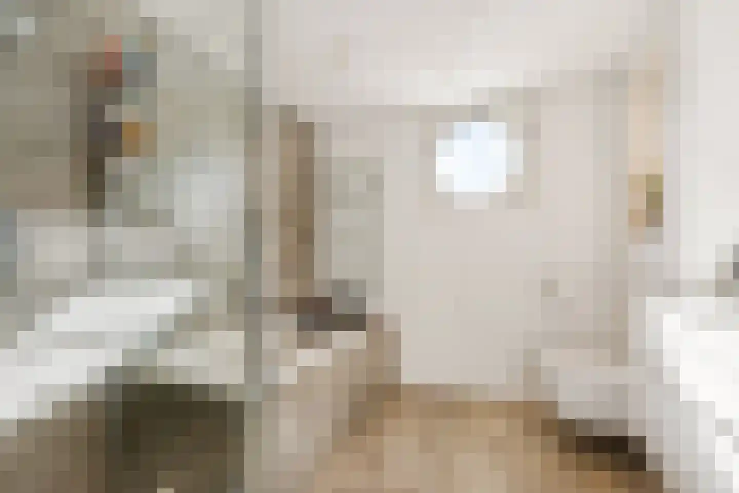 Leguaanstraat 6 Almere thumbnail 37