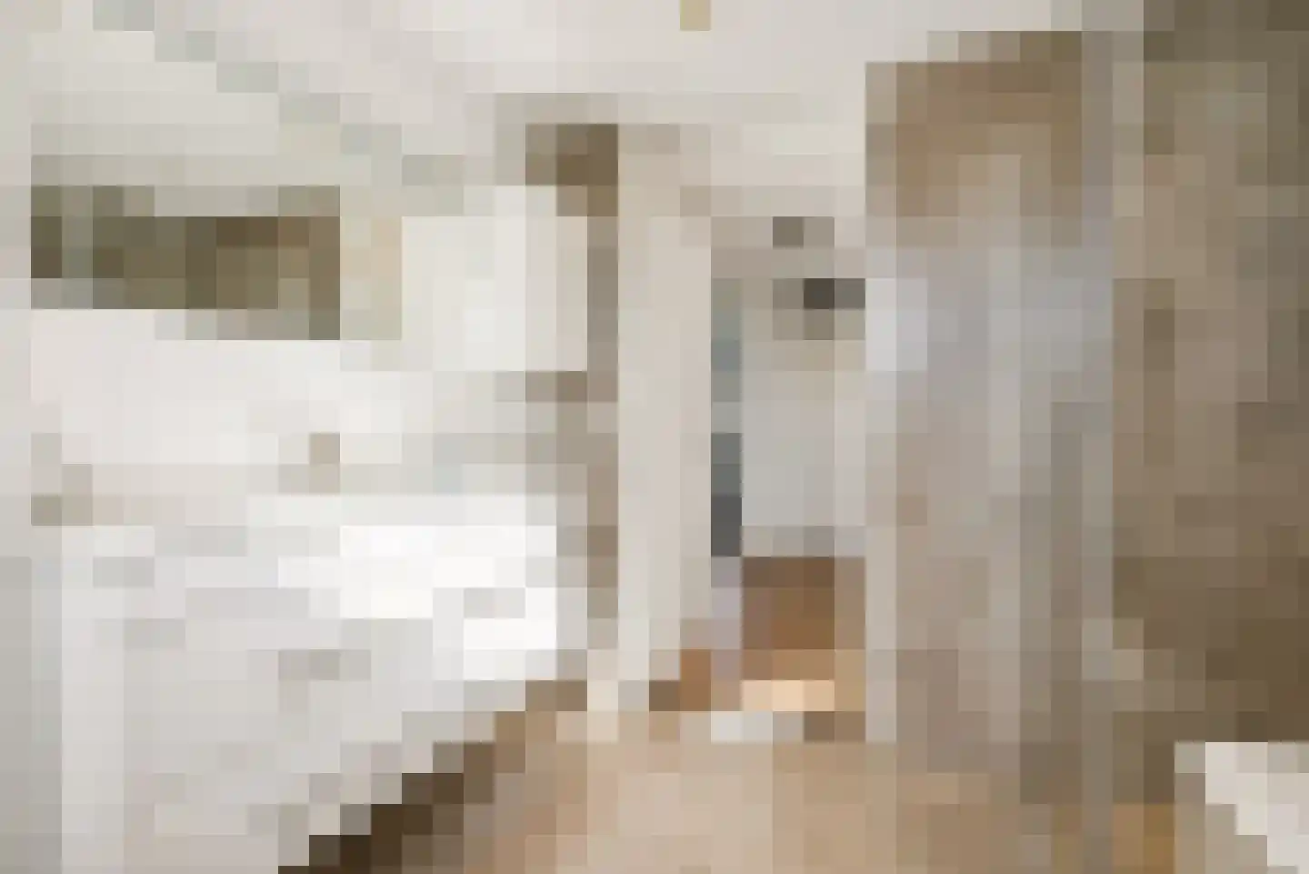 Leguaanstraat 6 Almere thumbnail 39