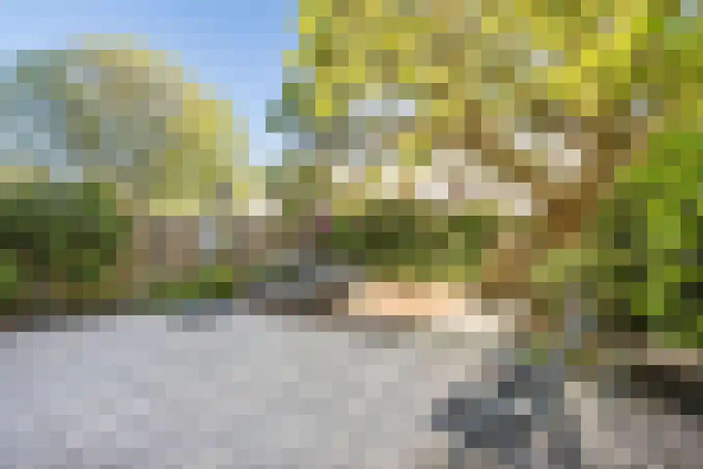 Leguaanstraat 6 Almere thumbnail 6