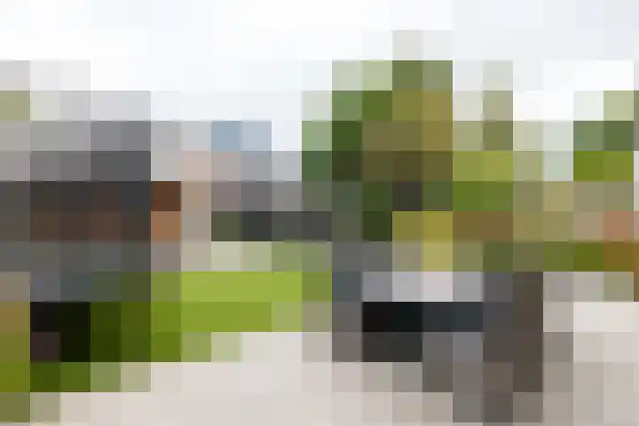 Leguaanstraat 7 Almere thumbnail 26