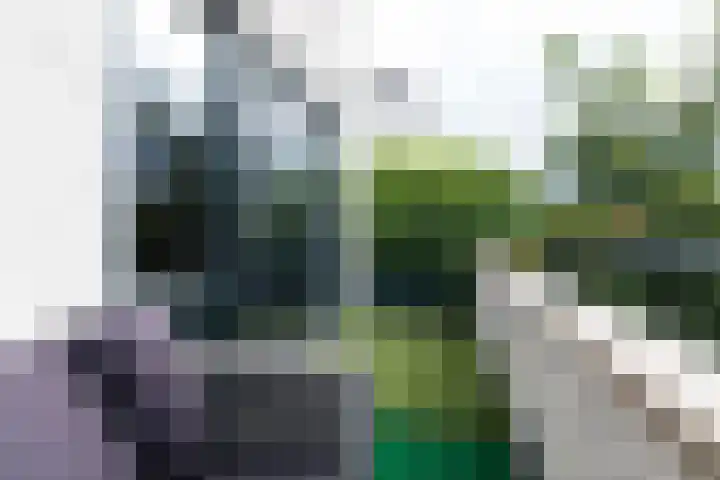 Leguaanstraat 7 Almere thumbnail 41