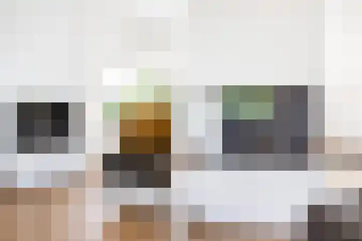 Leharkade 16 Alkmaar thumbnail 12