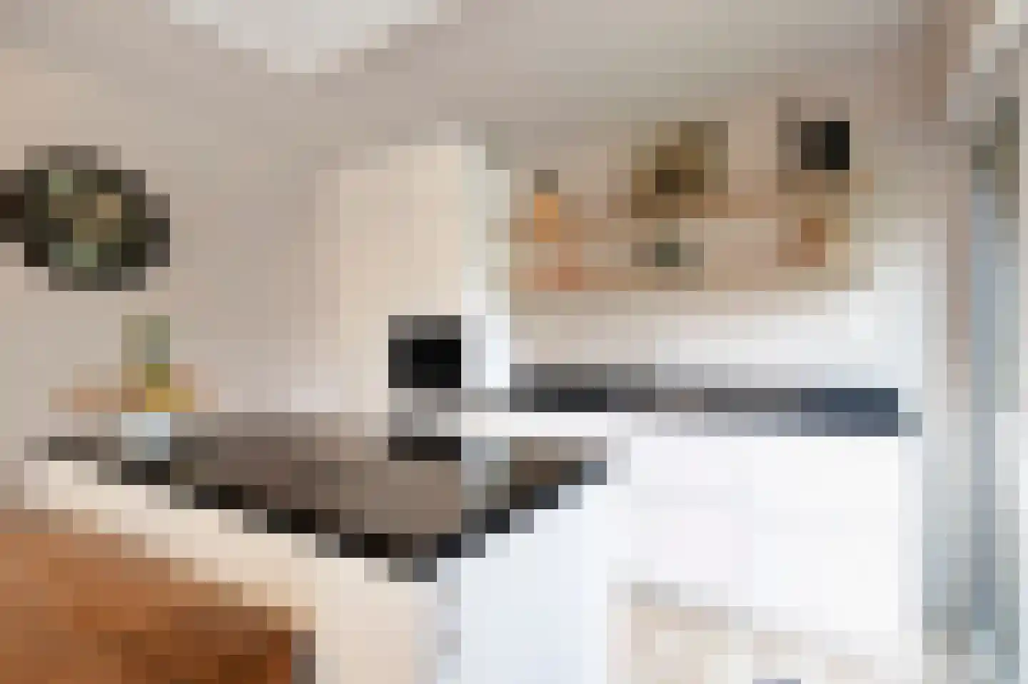 Leharkade 16 Alkmaar thumbnail 15