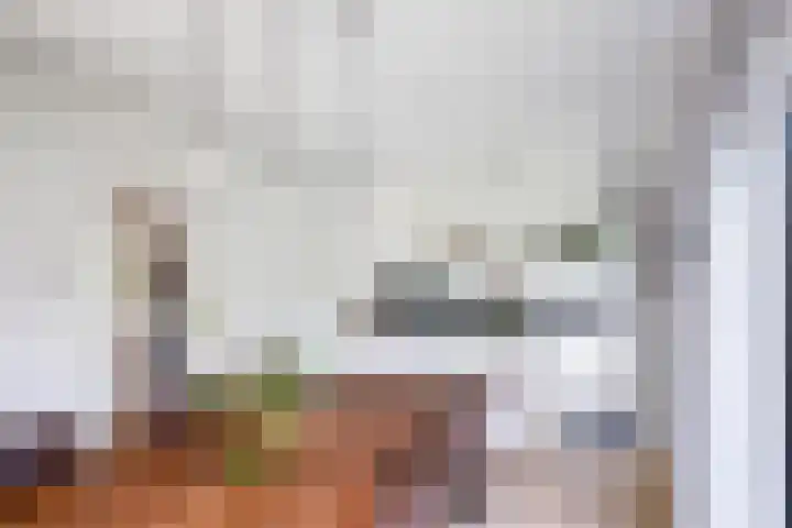 Leharkade 16 Alkmaar thumbnail 15