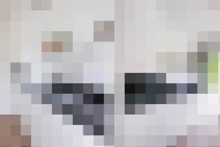 Leharkade 16 Alkmaar thumbnail 17