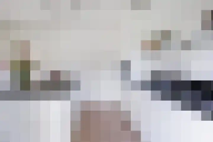 Leharkade 16 Alkmaar thumbnail 18