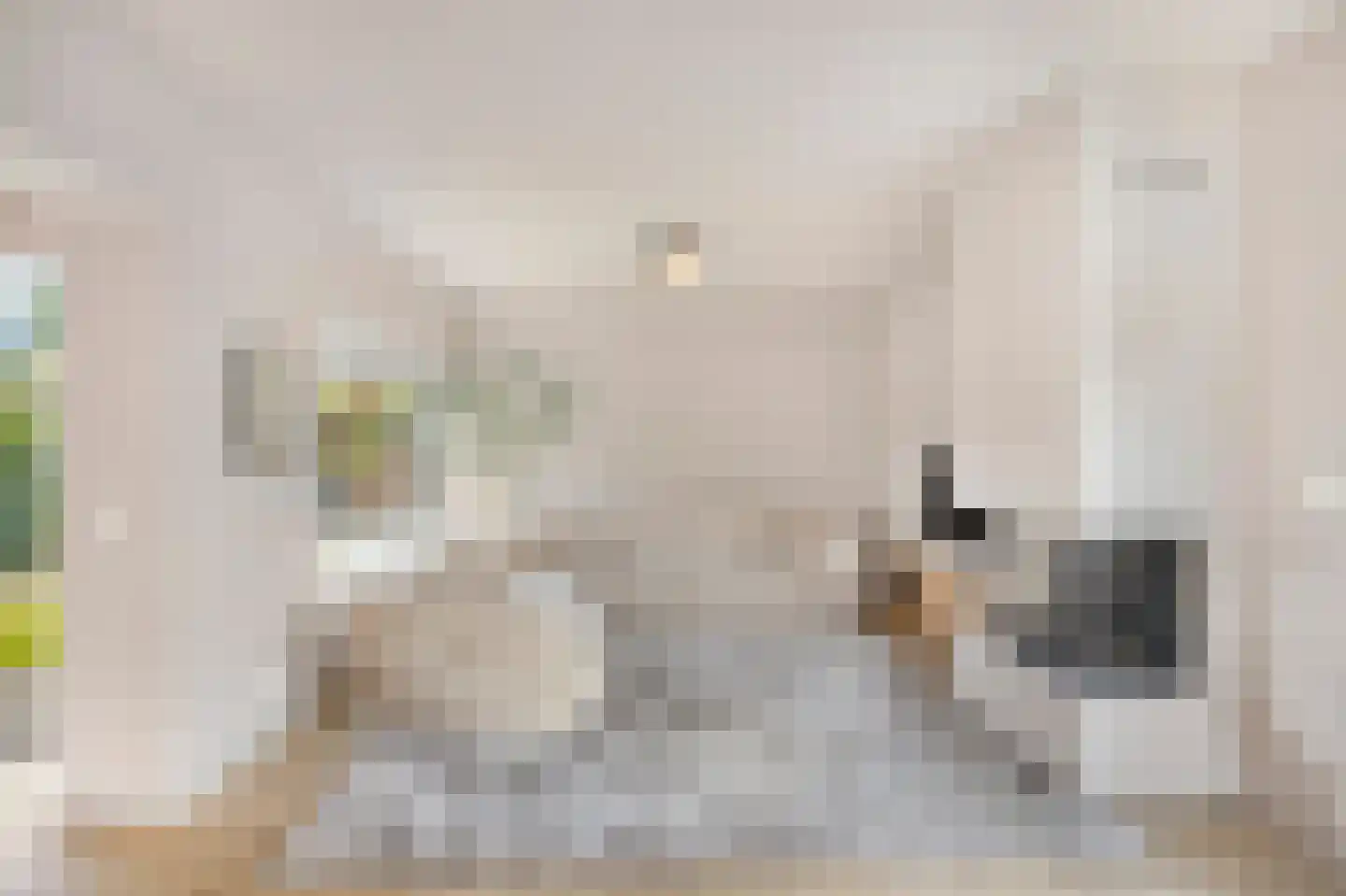 Leharkade 16 Alkmaar thumbnail 19