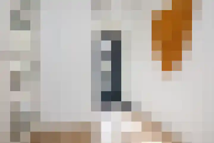 Leharkade 16 Alkmaar thumbnail 19