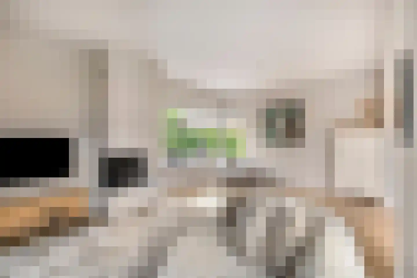 Leharkade 16 Alkmaar thumbnail 23