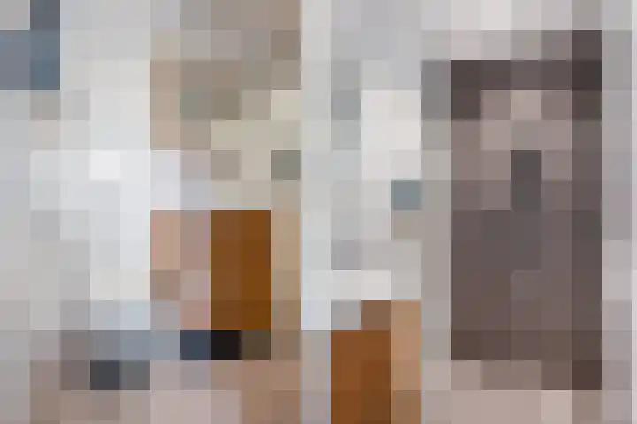 Leharkade 16 Alkmaar thumbnail 26