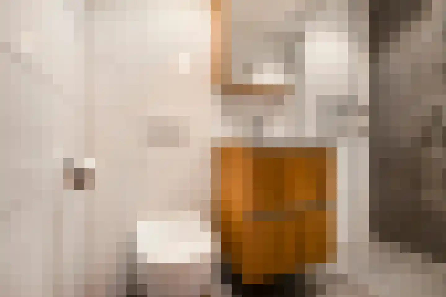 Leharkade 16 Alkmaar thumbnail 32